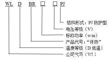 WLDBR-30-220-PJ防护型华体会体育网国米合作伙伴型号说明