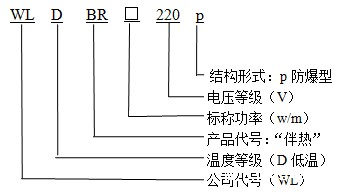 WLDBR-20-220-p防爆型华体会体育网国米合作伙伴型号说明