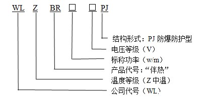 WLZBR-50-220-PJ阻燃防爆防护型华体会体育网国米合作伙伴型号说明