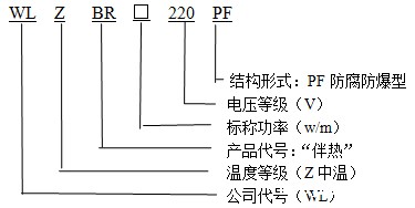 WLZBR-20-220-pF防腐防爆型(中温)华体会体育网国米合作伙伴型号说明