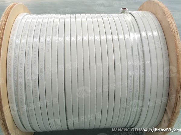 国产皖缆电伴热带结构图