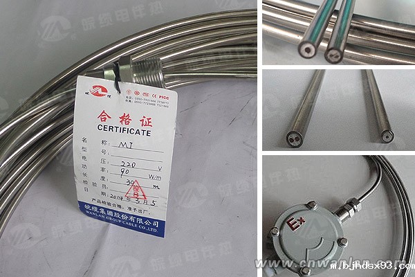 不锈钢单导和双导加热电缆结构图