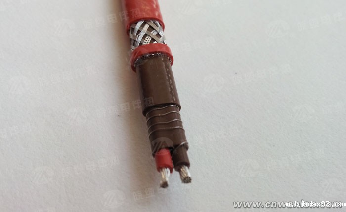 并联式防爆电伴热带