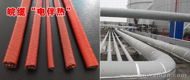  较大型食用油储备罐的电热带辅助加温